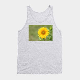 Sunflower, nature photography, single flower Tank Top